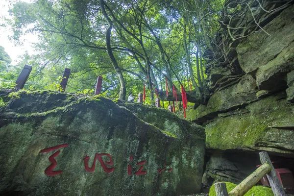 @寧強(qiáng)人，漢江源景區(qū)年卡福利來(lái)啦??！插圖15