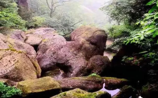 @寧強(qiáng)人，漢江源景區(qū)年卡福利來(lái)啦??！插圖16