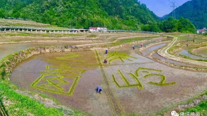 佛坪這些地方，讓你的春游不再單調(diào)！插圖17