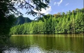 火爆出圈的漢中出游“頂流”，您最鐘意哪一處？縮略圖