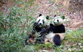 “近郊鄉(xiāng)村游”缺線路？馬上安排！縮略圖