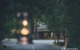 闖進留壩秘境森林，過22℃的夏天縮略圖