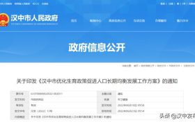 最高補(bǔ)貼1萬元！漢中生育政策來了→縮略圖