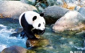 全國(guó)首家！開(kāi)工！縮略圖