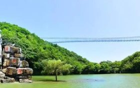 祝賀！漢中這幾個(gè)縣被省政府通報(bào)表彰縮略圖