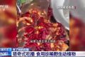 流量至上催生獵奇式吃播 多管齊下如何剎住“吃奇”之風？縮略圖