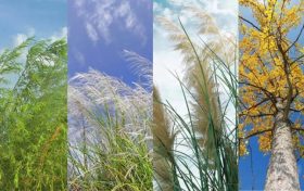 壁紙福利！讓漢臺(tái)秋日美景住進(jìn)你的手機(jī)里→縮略圖