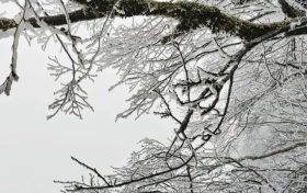 云賞龍頭山入冬初雪！霧凇奇觀太美啦！縮略圖