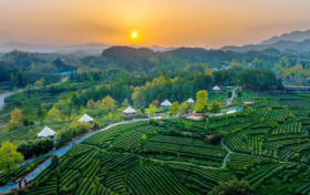 喜報(bào)！漢中市3縣獲第六批國(guó)家生態(tài)文明建設(shè)示范區(qū)和“兩山”基地命名！縮略圖
