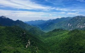 朱鹮、秦嶺石蝴蝶珍稀瀕危物種保護(hù)入選2022年生物多樣性保護(hù)優(yōu)秀案例縮略圖