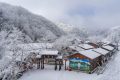 降溫要來了！1月11日—15日陜西多雨雪天氣 陜北降溫8-10 ℃縮略圖