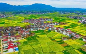 最新消息！南鄭區(qū)確定為2023中國最美油菜花海漢中旅游文化節(jié)主會(huì)場(chǎng)縮略圖