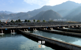 點(diǎn)贊！佛坪這一項(xiàng)目入國家農(nóng)業(yè)標(biāo)準(zhǔn)化示范區(qū)項(xiàng)目→縮略圖