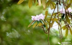 春游前，這份急救指南請(qǐng)先收好！縮略圖