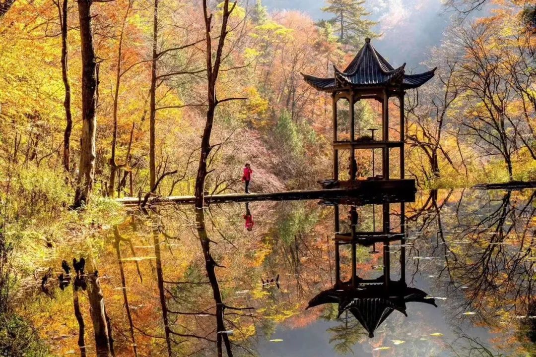 10月1日，漢中黎坪景區(qū)秋高氣爽、景色秀美，還不擁擠，趕緊出發(fā)嘍！