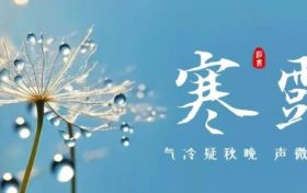 今天21時(shí)16分！迎來寒露節(jié)氣縮略圖