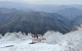 經(jīng)常感冒是怎么回事？該如何預(yù)防?縮略圖