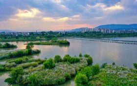 喜報！南鄭再添“國字號”招牌，成為全國示范！縮略圖