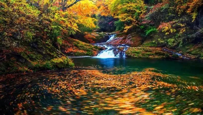 10月1日，漢中黎坪景區(qū)秋高氣爽、景色秀美，還不擁擠，趕緊出發(fā)嘍！