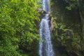 大霧黃色預(yù)警！漢中這些地方能見度低→縮略圖