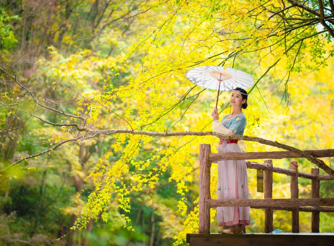 10月1日，漢中黎坪景區(qū)秋高氣爽、景色秀美，還不擁擠，趕緊出發(fā)嘍！