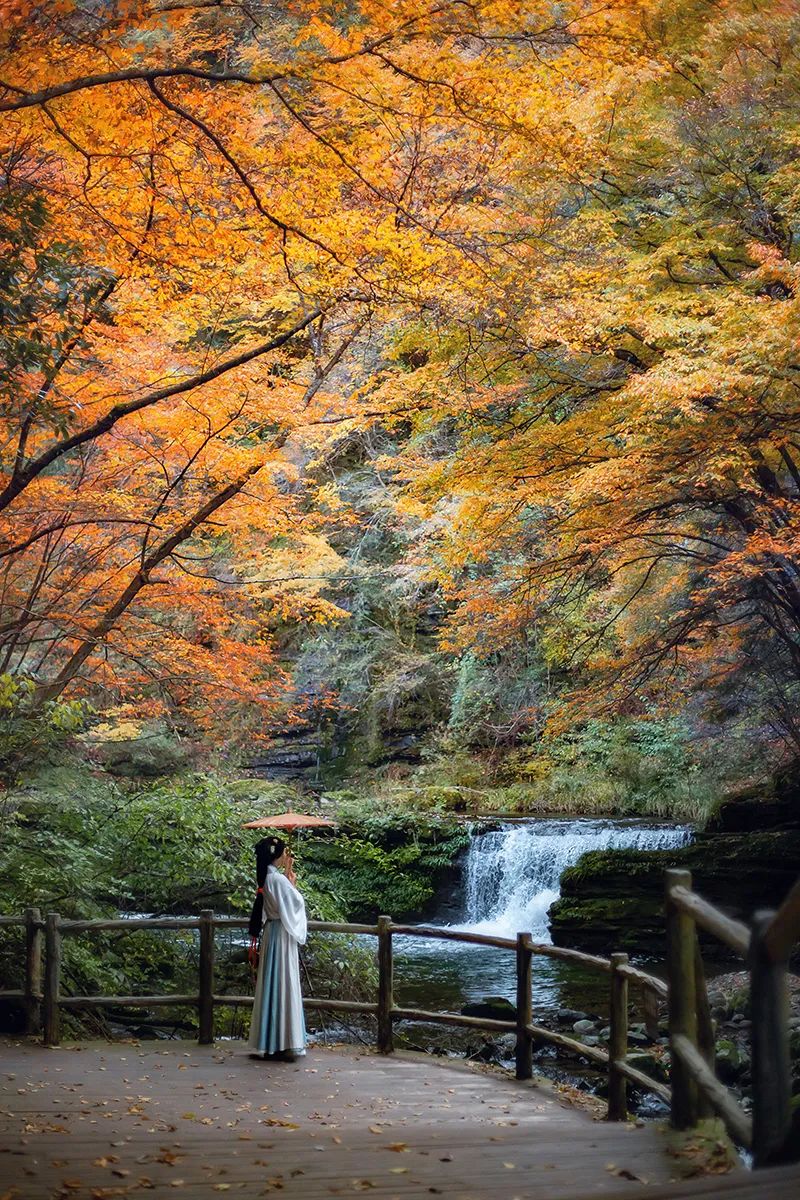 10月1日，漢中黎坪景區(qū)秋高氣爽、景色秀美，還不擁擠，趕緊出發(fā)嘍！