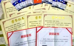 優(yōu)秀！城固縣兩名學(xué)生喜獲世界機(jī)器人大賽國賽二等獎(jiǎng) →縮略圖