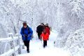 隨著冷空氣的抵達(dá)，陜西迎來一份雨雪、降溫、吹風(fēng)天氣過程縮略圖