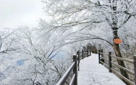 龍頭山今日又下雪啦，每一幀都是“限定浪漫”！縮略圖
