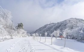天冷了，吃點啥有助抗寒？縮略圖
