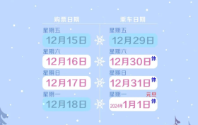 元旦假期首日火車票今天開搶，第三方平臺(tái)預(yù)約訂單量增近2倍縮略圖