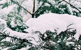 漢中，下雪啦！縮略圖