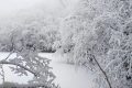 漢江源冰雪季 | 賞雪、嬉雪、看冰瀑，邂逅冬日的浪漫縮略圖