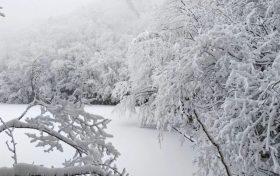 局地積雪可達10cm！冰雪路面如何安全行車？縮略圖