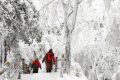 【鬧元宵·賞雪景】一起去漢江源看雪吧！縮略圖