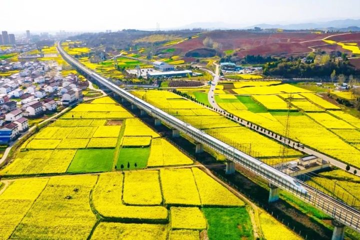 坐上高鐵去漢中，共赴一場(chǎng)浪漫之旅！插圖