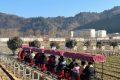開門紅！全縣首輛！鱘游佛坪“熊貓?zhí)枴毙』疖囌竭\(yùn)行→縮略圖