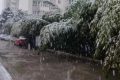 明顯降溫！陜西新一波雨雪即將到來(lái)縮略圖