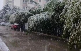 明顯降溫！陜西新一波雨雪即將到來縮略圖