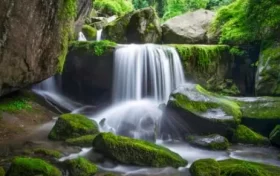 尋夢油菜花海，探秘漢江之源：三天兩晚奇遇之旅縮略圖