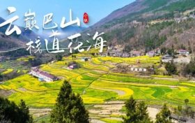 寧強(qiáng)巴山梯田油菜花，藏著漢中最立體的春天！縮略圖