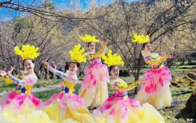 3月22日，王家灣村，茱萸花海踏春游活動(dòng)來(lái)啦！縮略圖