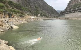 縱身激流顯擔(dān)當(dāng)！略陽公安民警以身為舟托起生命希望縮略圖