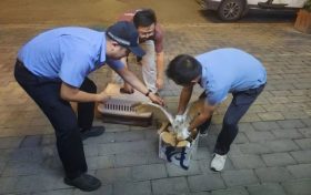 漢臺(tái)警民攜手救助一只國家一級(jí)保護(hù)動(dòng)物縮略圖