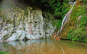 最高獎(jiǎng)勵(lì)1500元！在漢臺(tái)，舉報(bào)破壞野生動(dòng)植物違法行為有獎(jiǎng)縮略圖